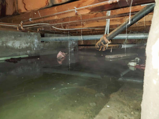 Best Basement water damage restoration  in Hanford, CA