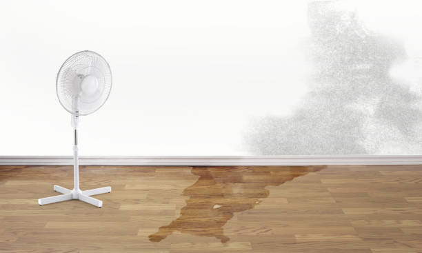 Best Water damage restoration near me  in Hanford, CA