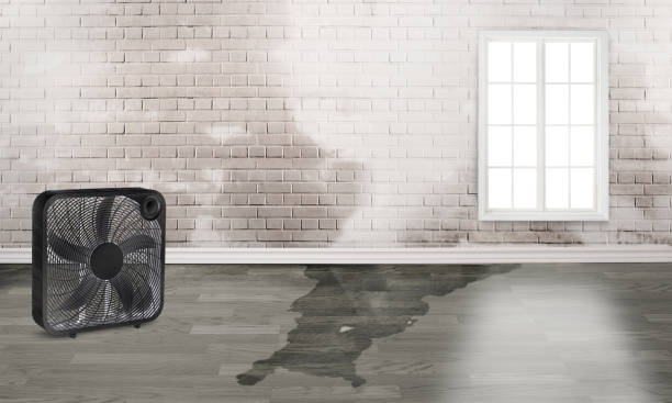 Best Professional water damage repair  in Hanford, CA