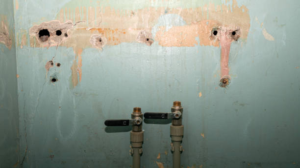 Best 24-hour water damage restoration  in Hanford, CA