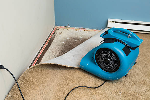 Best Ceiling water damage repair  in Hanford, CA